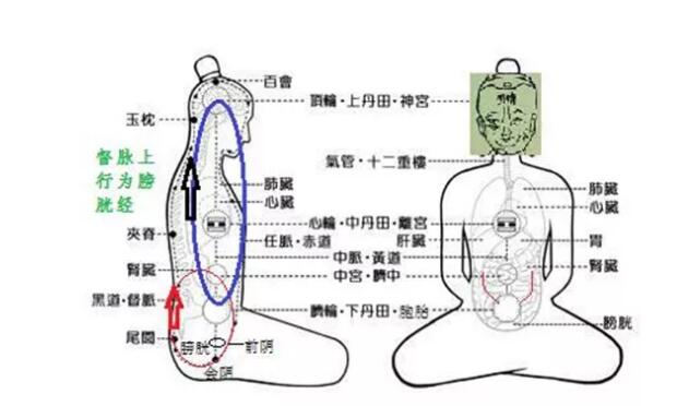 东方易元洗髓功