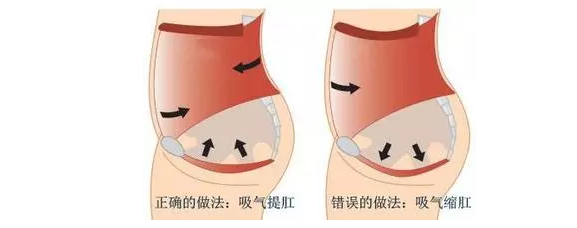 男人每天做50次“提肛”，身体能尝到什么“甜头”？别觉得害羞...